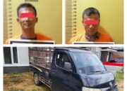 Curi Sapi Warga Disiang Bolong, 2 Pria Ditangkap Polsek Bagan Sinembah