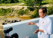 Lihat Lintasan Gajah di Riau, Presiden Tekankan Pembangunan Infrastruktur harus Ramah Lingkungan