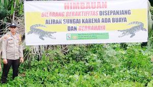 Warga Harap Waspada Atas Penampakan Buaya di Sungai Sumundam