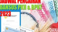 Catat! Ini 21 Daerah Sudah Bisa Cair Bansos PKH dan BPNT 2023, Simak Daerah Anda Termasuk