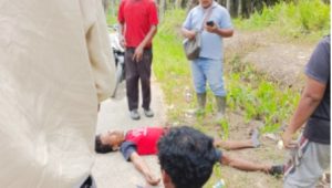 Diduga  Akibat Ke Egoisan PT Serikat Putra, Karyawan Pemanen Tersengat Arus Listrik JTM PLN 380 Volt