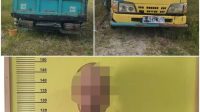 Sopir Truk Ditangkap Unit Reskrim Polsek Tambusai Utara, Ini Kasusnya