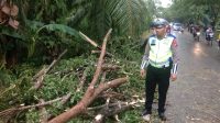 Urai Kemacetan, Pospam Ops Ketupat LK 2023 Polres Rohil Eksekusi Pohon Tumbang