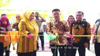 Resmikan UPT Instalasi Farmasi Dinas Kesehatan, Ini Kata Bupati Rohil