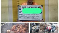 Ketangkap Curi Buah Kelapa Sawit PT DPN, Pria Ini Digelandang ke Polres Kuansing