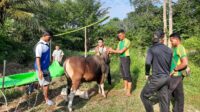 Indahnya Kebersamaan Satgas Yonarmed 10/ Bradjamusti dan Warga Rayakan Idul Adha di Perbatasan