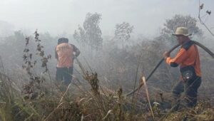 Pemadaman Dibantu Helikopter, Sepekan Lahan Gambut di Teluk Meranti Pelalawan Terbakar