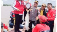 Kapolres dan Bupati Pelalawan Hadiri Hadiri Festival Menjaring Ikan Patin 