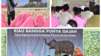 Semangat Konservasi, PHR Dorong Pelajar Turut Jaga Populasi Gajah Sumatera