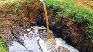 Aplikasi Limbah Cair Pabrik Kelapa Sawit Tingkatkan Penyerapan Pupuk Oleh Tanaman