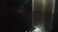 Banjir Mulai Rendam Pemukiman Warga di  Rimba Melintang, Ketinggian Capai 30 Centimeter