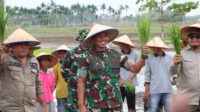 Gerakan Tanam Serentak Spektakuler 3000 Ha, Kodim 0314/Inhil mengejar Impian Swasembada Beras yang Pernah Hilang di Kabupaten Indra Giri Hilir