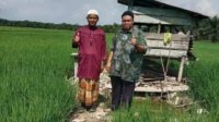 Tebang Pohon Warga Dumai Masuk Bui, Dr.Elviriadi; Legal Standing Dalam HPT Tidak Sah