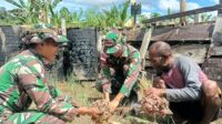 Personel Pos Waris satgas Yonif 122/TS Panen Bawang merah Bersama Masyarakat Distrik Waris