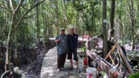 Kunjungi “Darwis” Penunggu Bandar Bakau, Pakar Lingkungan Desak PT Pelindo dan Pemko Dumai Lestarikan Mangrove