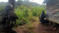 TNI Bertindak Cepat Mengejar OPM Pembunuh dan Pembakar Masyarakat Serta Merebut Distrik Bibida Yang Selama Ini Dikuasai OPM