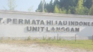 Klarifikasi, PMKS PT PHI Hanya Kelola CPO dan Tidak Ada Refinery Minyak Goreng Dalam Kemasan