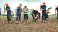 Bersama Polres Inhu, PT PAS Tanam Dua Hektar Jagung Pipil