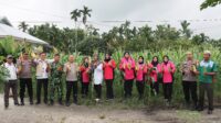 Polresta Pekanbaru Hadiri Panen Raya Jagung Serentak Tahap I Bersama Kapolri Melalui Zoom Meeting
