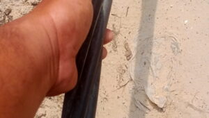 Kabel Milik PT PLN (Persero) ULP Pkl Kerinci di Kecamatan Pangkalan Lesung Mengancam Nyawa Warga.