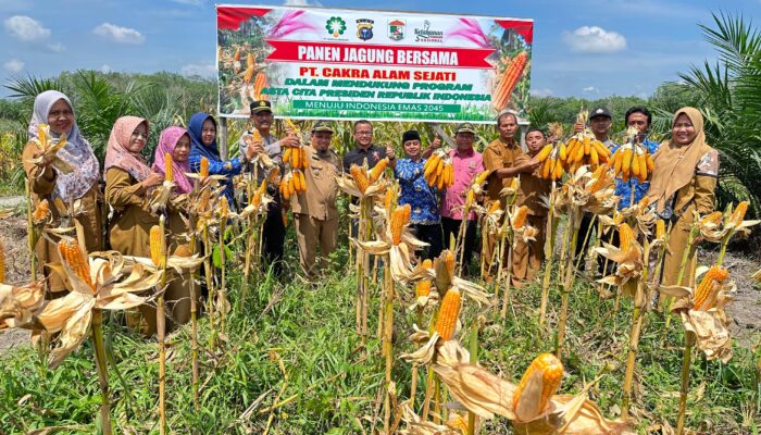 Dukung Asta Cita, PT Cakra Alam Sejati Sukses Laksanakan Progam Ketahanan Pangan dan Lakukan Panen Raya Jagung Serentak Tahap II