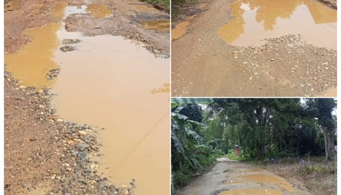 Anak Sekolah Tempuh Jalan Berlumpur di Kecamatan Tabir Ilir, Warga Minta Pemerintah Beri Perhatian 