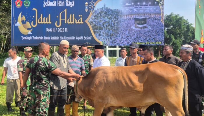Puslatpur Kodiklat TNI AD Bagikan Hewan Kurban di Daerah Latihan Omiba