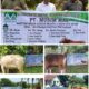 Menyambut Hari Raya Idul Adha 1446 H – 2025 M PT Musim Mas Salurkan Hewan Qurban