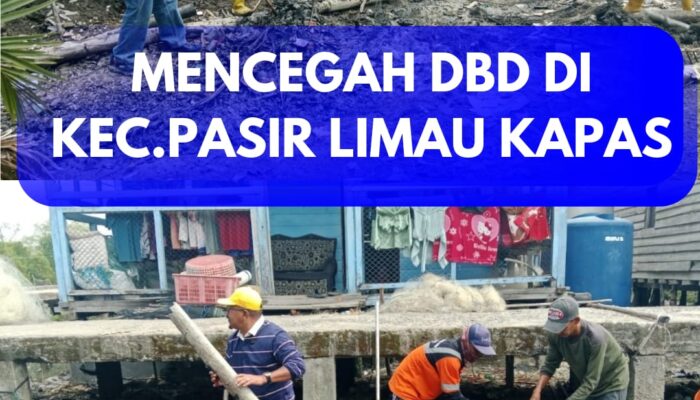 Cegah DBD, Kadis DLH Suwandi Turun Langsung Bersihkan Sampah di Pasir Limau Kapas