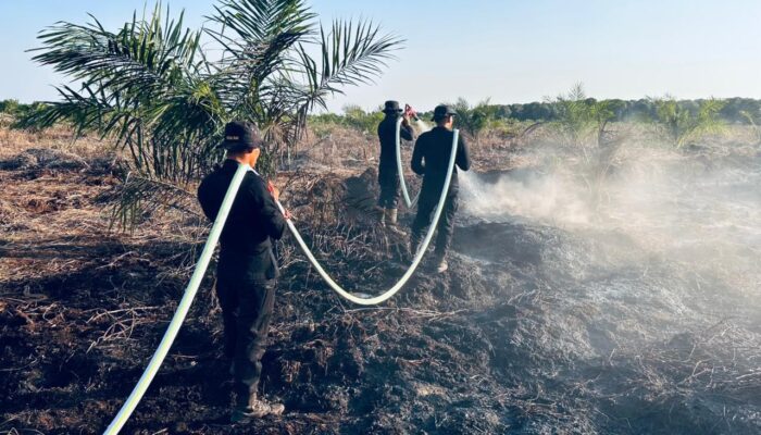 Brimob Polda Riau Turut Berjibaku Padamkan Karhutla di Rohil 