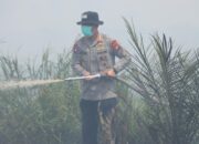 Dir Polair Bersama Dansat Brimob Polda Riau dan Kapolres Rohil Pimpin Aksi Pemadaman dan Pendinginan Karhutla di Kecamatan Kubu