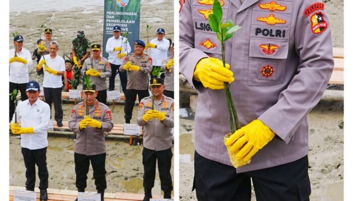 Tanam Mangrove di Kalbar, Kapolri: Jaga Lingkungan untuk Masa Depan Anak-Cucu Kita