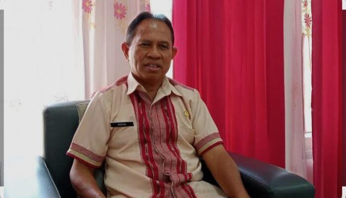 Soal Seleksi Job Fit di Pemkab Flotim, BKPSDM : Akan Dilaksanakan Akhir Bulan Ini Menunggu Petunjuk Bupati