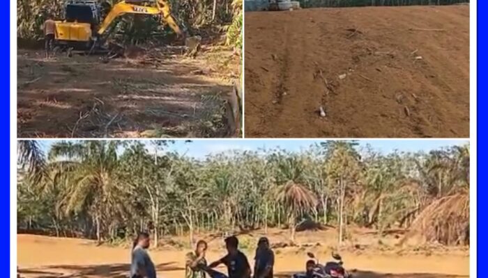 Grasstrack & Motocross Lokal Jambi Sircuit “Lebak Bahalo” Siap Meriahkan Desa Rantau Limau Manis