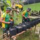 Cocok Tanam dan Ternak di Sekitar Pos, Satgas Yonarhanud 1 Kostrad Inspirasi Masyarakat Perbatasan Optimal Kelola Lahan