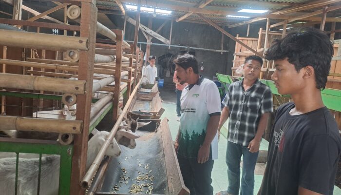 PT. EMP Energi Gandewa Dorong Kemandirian Ekonomi Masyarakat Melalui Pelatihan Pengolahan Susu Kambing kelompok Villa Ternak