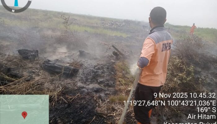 Karhutla Terjadi di Kepenghuluan Air Hitam – Pujud, Sat Pol PP Rohil dan Gabungan Masih Berjibaku Padamkan Api 