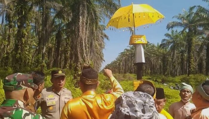 AMA Riau: Mengaku Adat Tanpa Legitimasi Raja Tambusai Adalah Penyesatan Publik