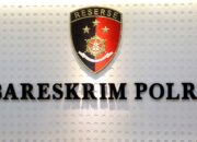 Bareskrim Selidiki Dugaan Pembalakan Liar di Sumatera