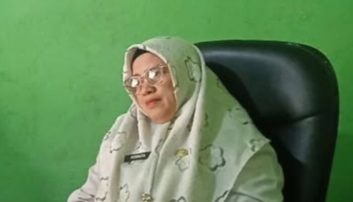 Ingatkan Warga Waspada Demam Berdarah, Lurah Banjar XII : Ikuti Petunjuk Puskesmas Tanah Putih