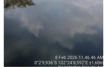 Diminta Kementerian LHK Evaluasi Kepala dan Petugas Resort Kerumutan Tengah 