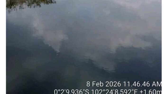 Diminta Kementerian LHK Evaluasi Kepala dan Petugas Resort Kerumutan Tengah 