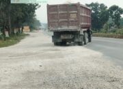 Dump Truck Diduga Suplai Material Quarry HKI Bebas Melanggar, Aparat Tutup Mata?