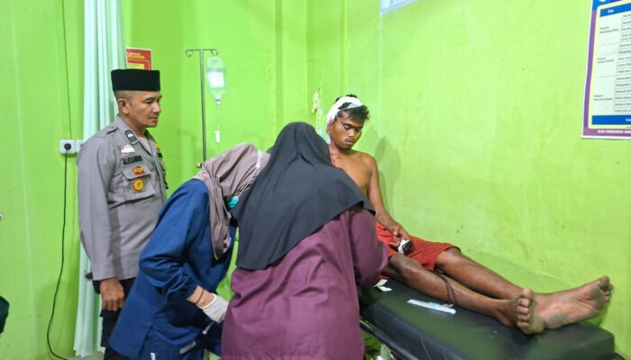 Harimau Sumatera Serang Warga di Kuala Kampar, Pelalawan