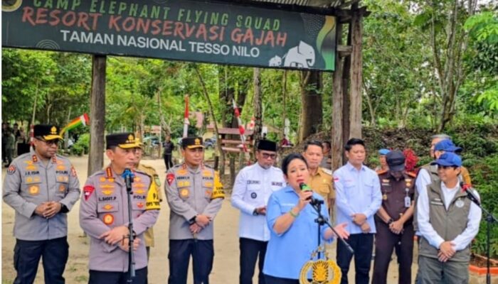 Wujudkan Atensi Presiden, Kapolri dan Ketua Komisi IV DPR Tinjau Pemulihan Habitat Gajah di Taman Nasional Tesso Nilo