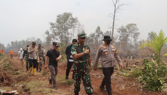 Danrem 031/Wira Bima Tinjau Langsung Pemadaman Karhutla di Dumai, Sinergitas TNI-Polri dan Pemda Diperkuat
