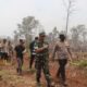 Danrem 031/Wira Bima Tinjau Langsung Pemadaman Karhutla di Dumai, Sinergitas TNI-Polri dan Pemda Diperkuat