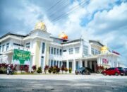 Disidak Wabup Rohil, Dinkes : “Langkah Bapak Bawa Angin Segar “