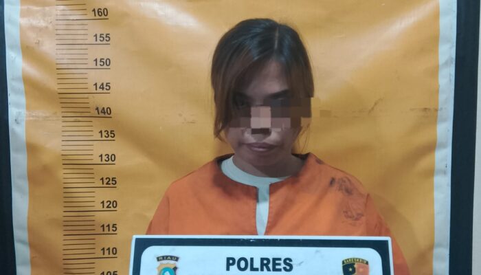Sat Res Narkoba Polres Inhil Ungkap Peredaran Ekstasi, Wanita Ini Diamankan