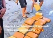 Dua Gembong Narkoba Asal Pekanbaru Diciduk Polsek Benai, 18 Kg Ganja Disita dari Avanza Hitam